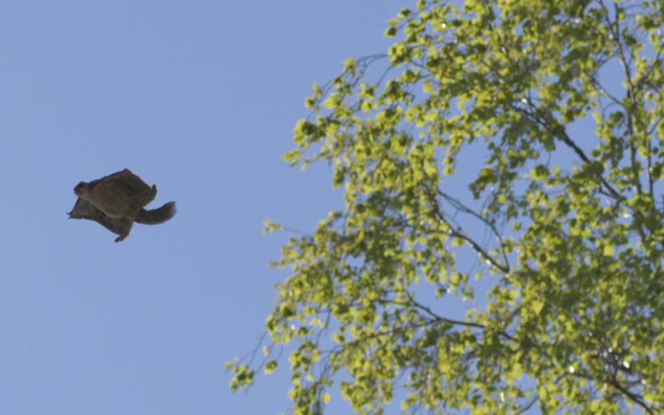 HD porno etuk cums Yosh lezbiyen erotika